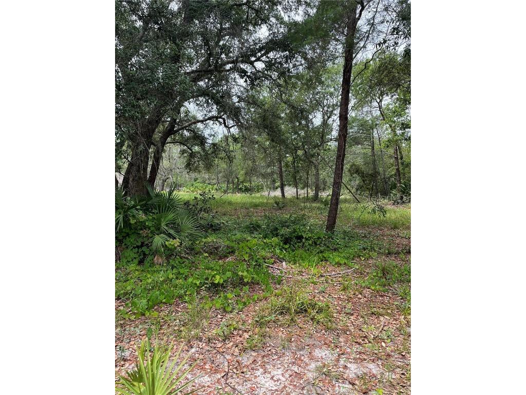 E Saffron Court #2 Eustis FL 32736 - LAKE NORRIS G5068140 image1