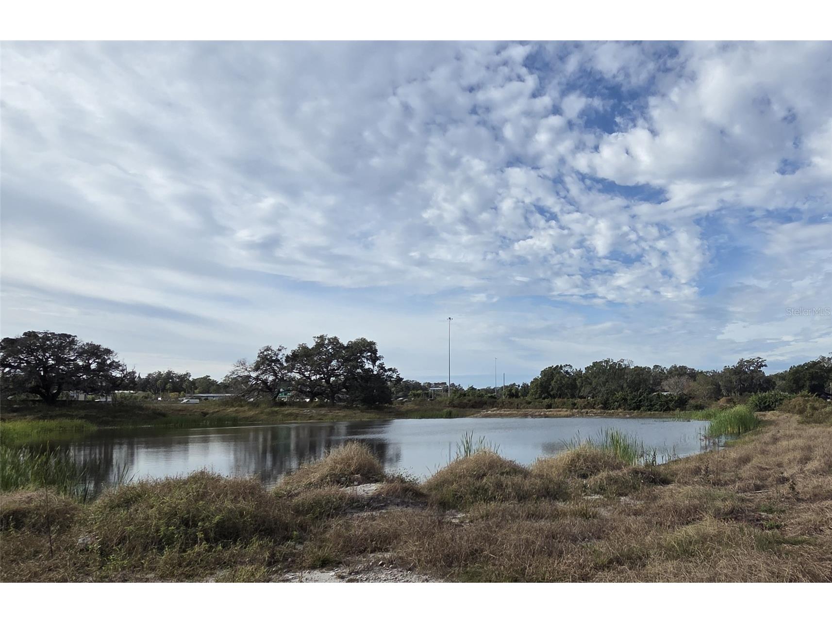 E Sligh Avenue Tampa FL 33610 TB8484090 image2
