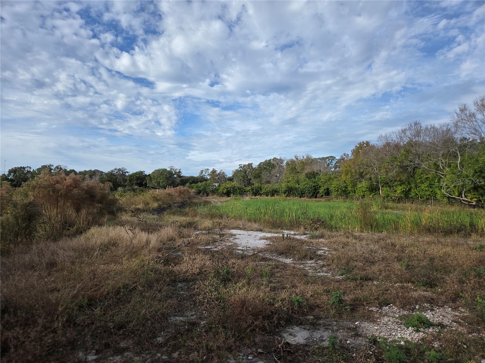 E Sligh Avenue Tampa FL 33610 TB8484090 image6