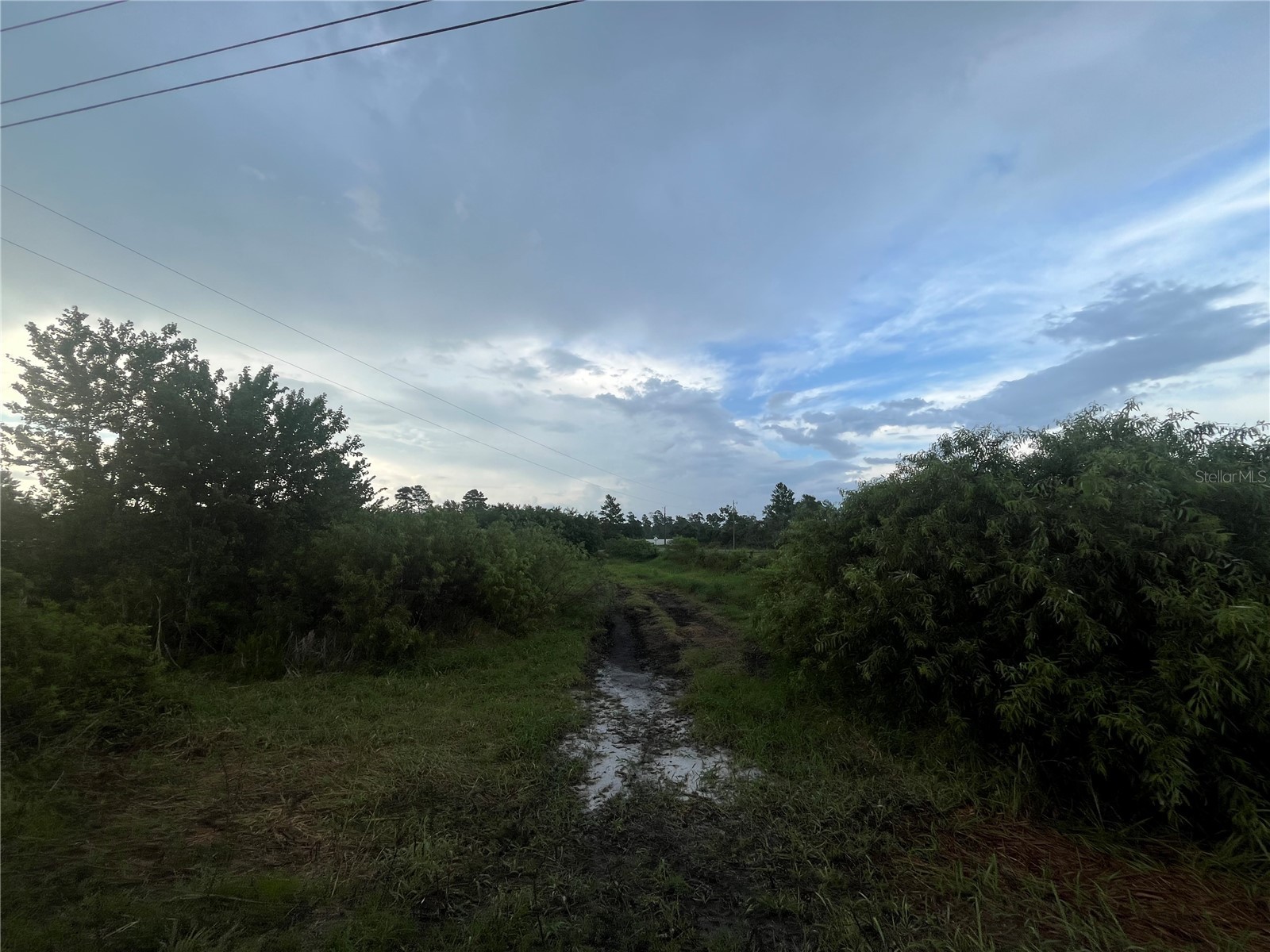 E State Rd 60 Okeechobee FL 34972 K4903427 image2