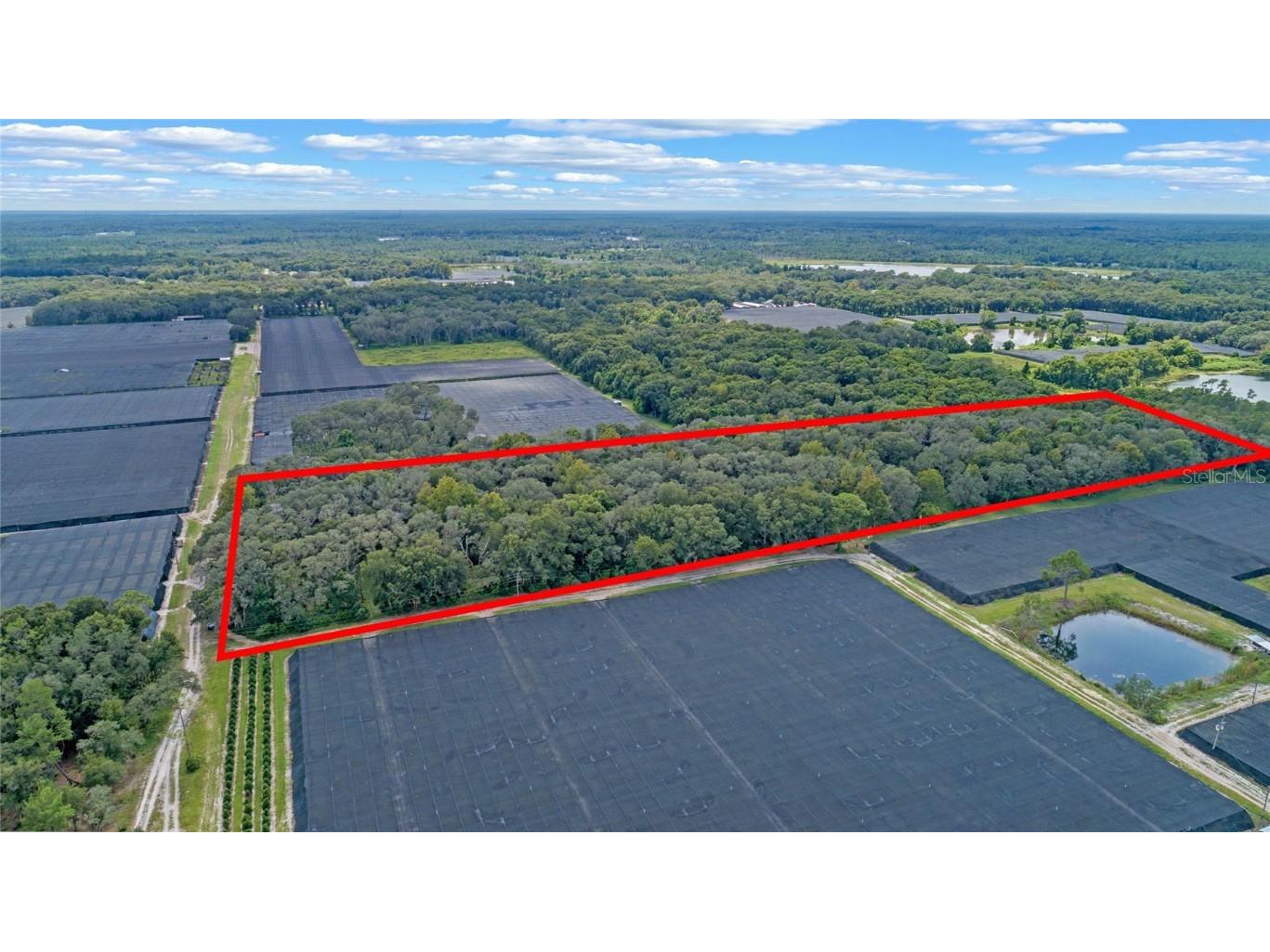 E Washington Avenue Pierson FL 32180 V4935998 image1