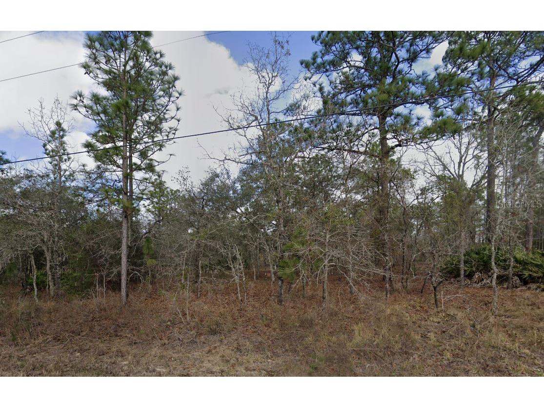 Eadom Avenue Brooksville FL 34614 A4599862 image1