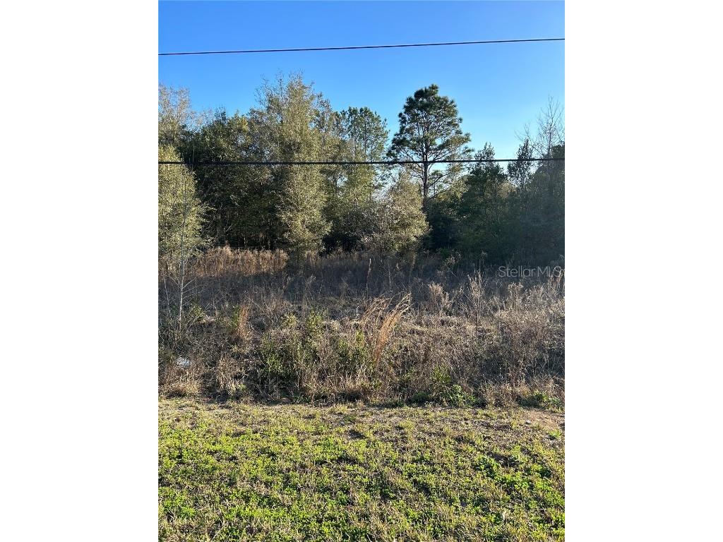 Eagle Drive SW Dunnellon FL 34431 OM652883 image1