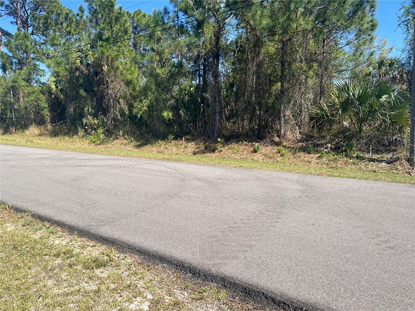 Eagle Pass Street North Port FL 34286 D6147979 image2