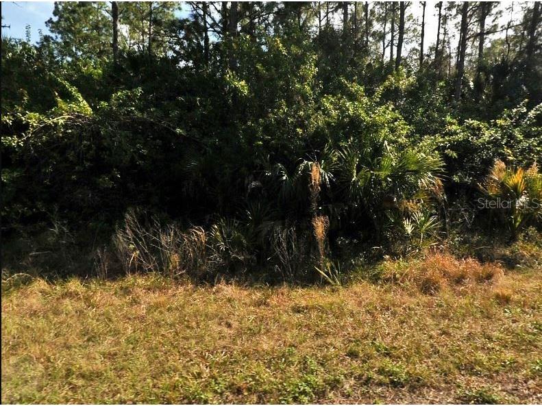 Earlydawn Road North Port FL 34288 O6190279 image2