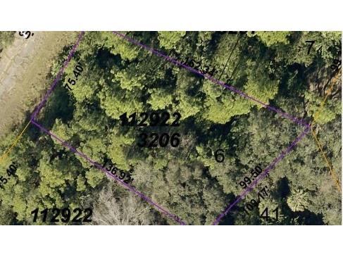 Earlydawn Road North Port FL 34288 O6190279 image4