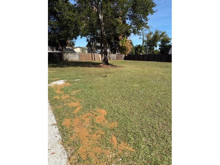 East Clermont FL 34711 G5095417 image21