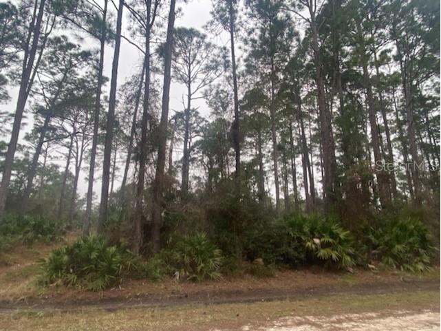 East Parkway Deland FL 32724 V4922776 image1