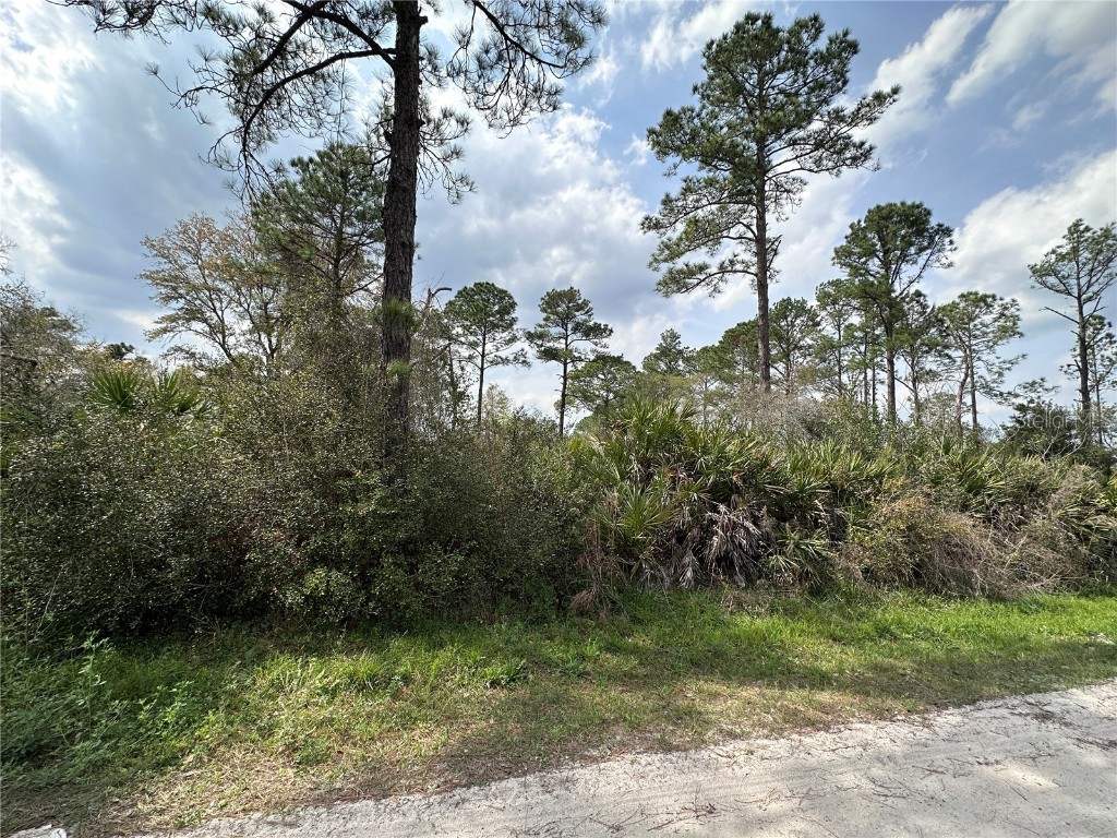 East Parkway Deland FL 32724 V4929002 image1