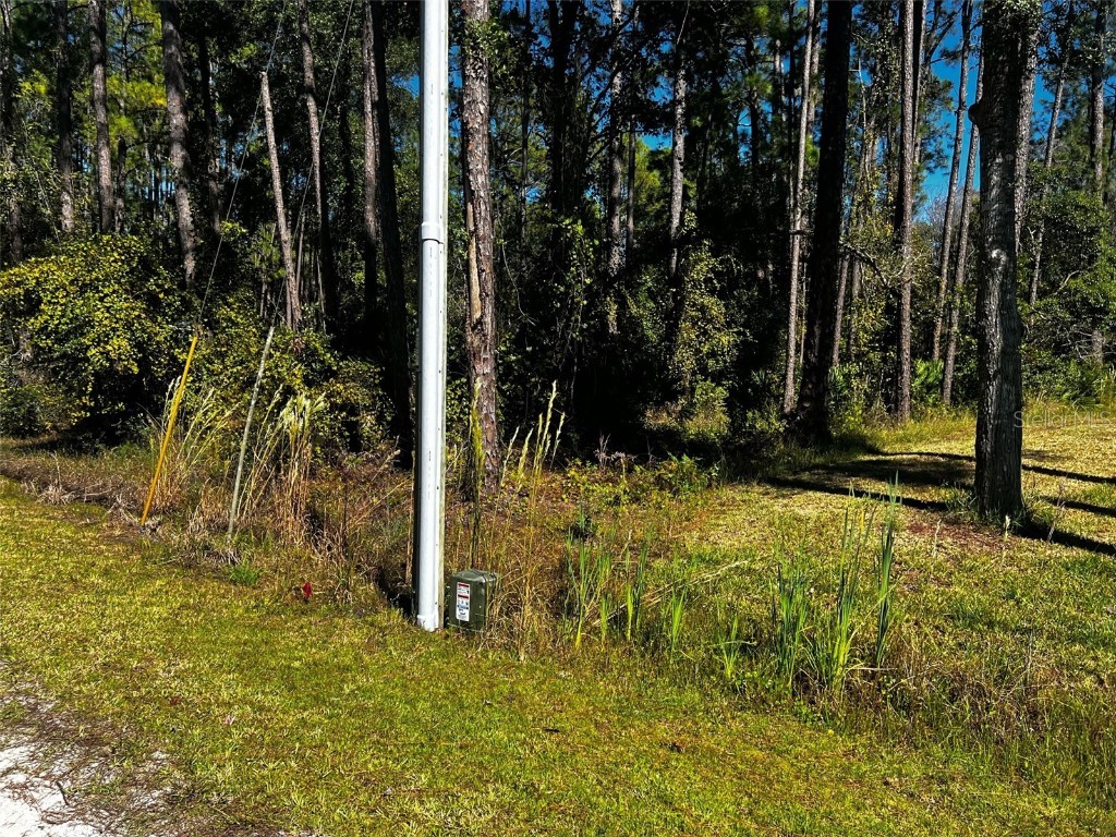 East Parkway Deland FL 32724 V4932880 image1