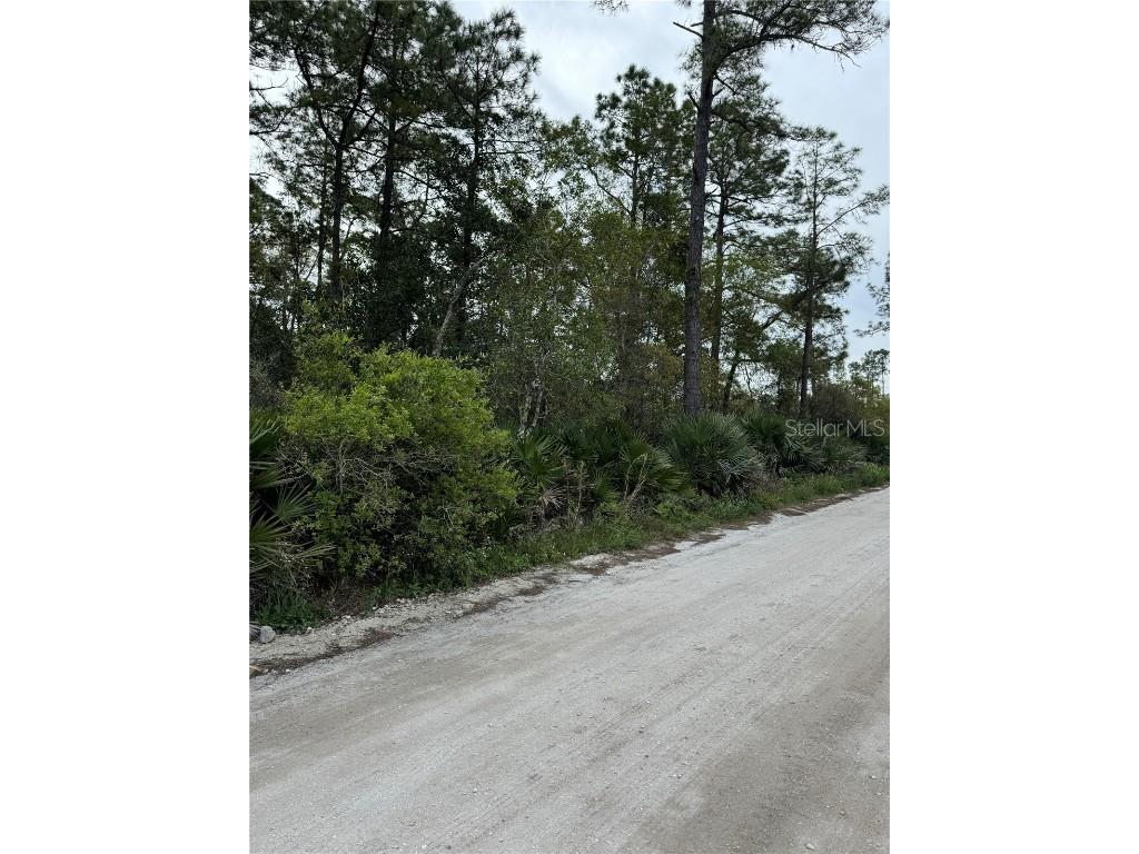 East Parkway Deland FL 32724 O6293218 image1