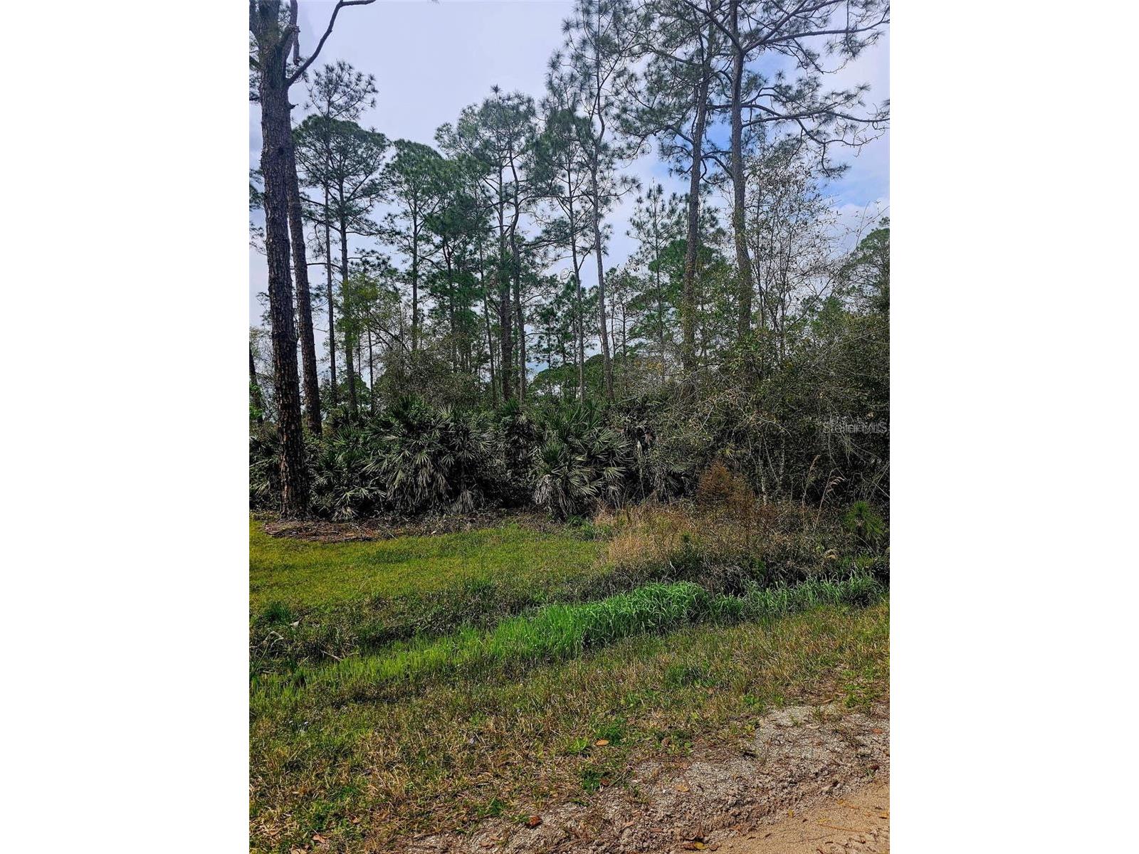 East Parkway Deland FL 32724 O6408648 image3