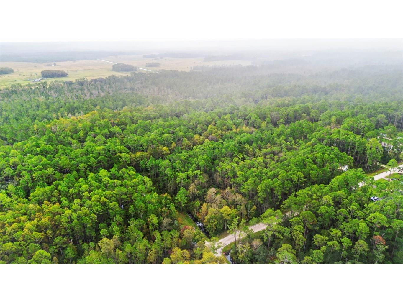 East Parkway Deland FL 32724 V4945340 image11