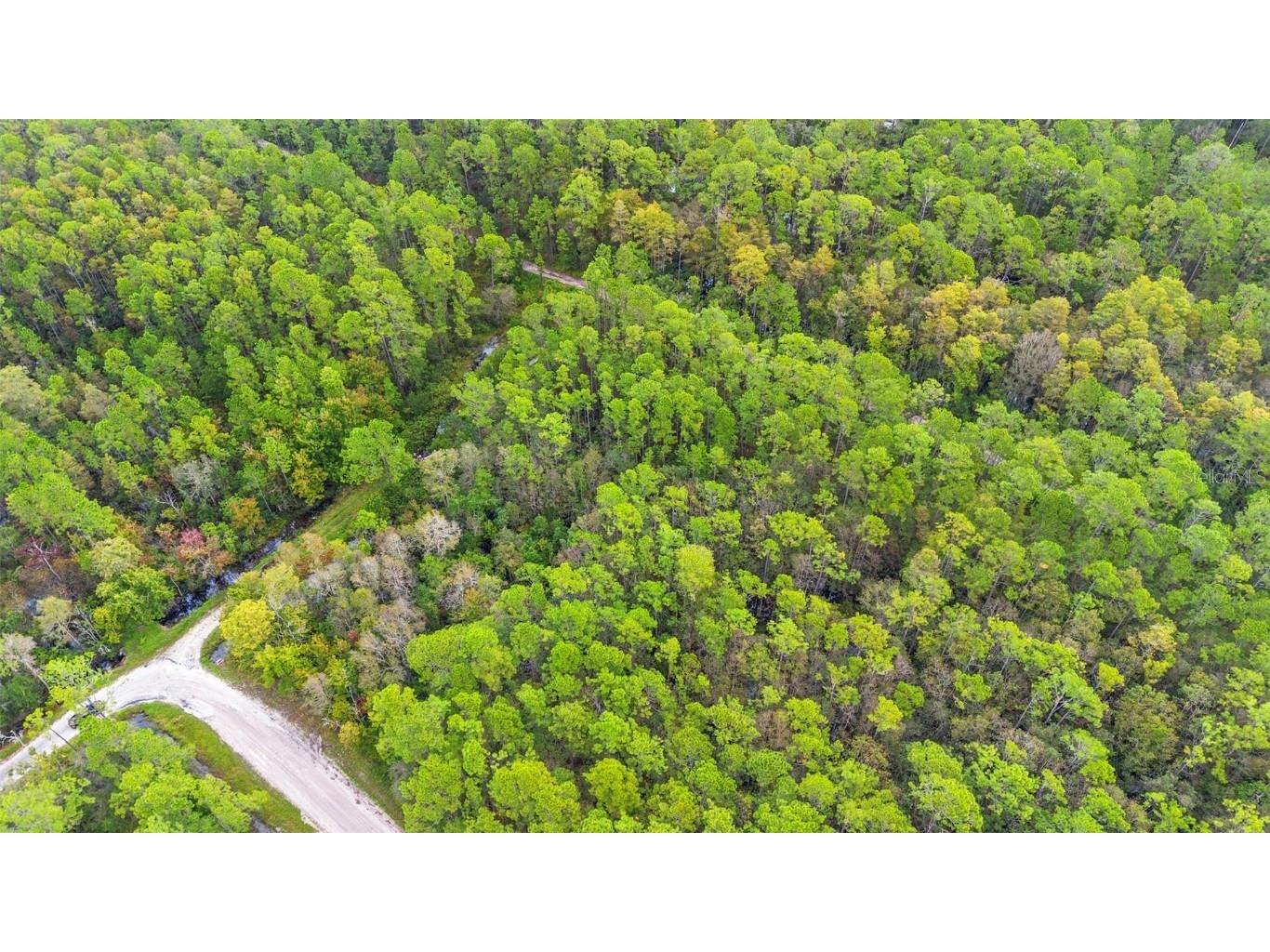 East Parkway Deland FL 32724 V4945340 image16