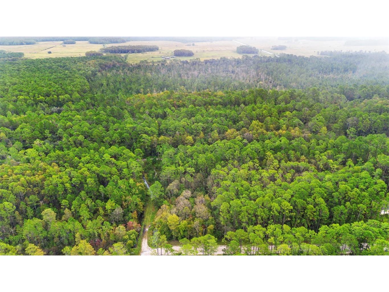 East Parkway Deland FL 32724 V4945340 image18