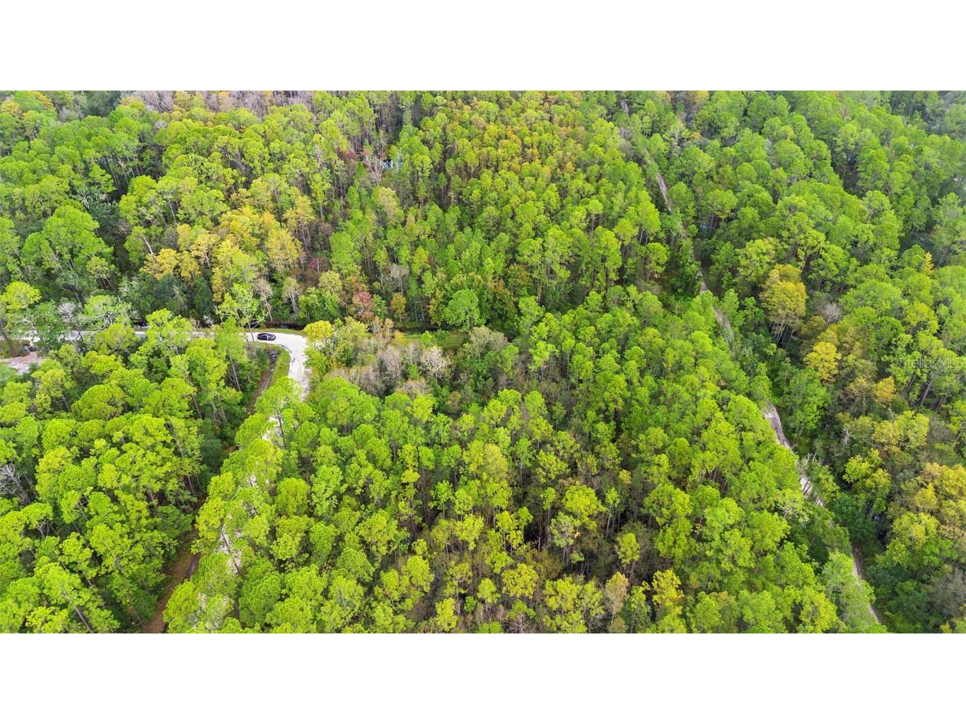 East Parkway Deland FL 32724 V4945340 image26