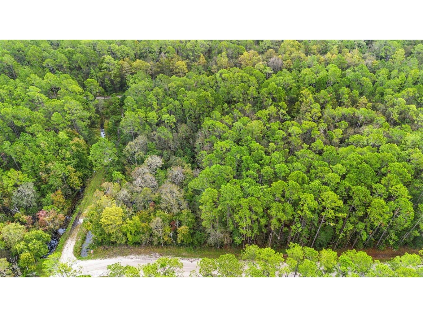 East Parkway Deland FL 32724 V4945340 image27