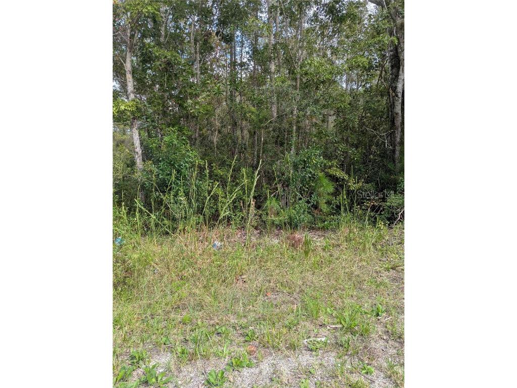 East Parkway Deland FL 32724 V4945340 image5