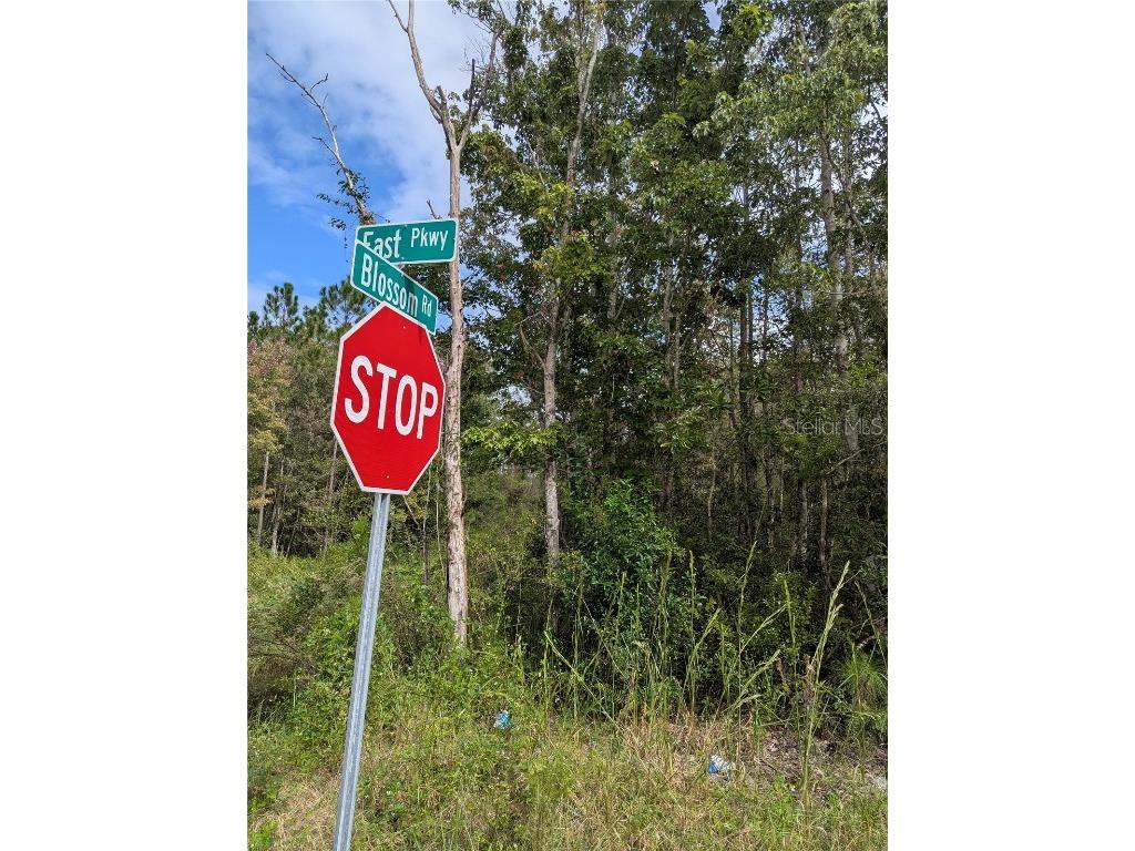 East Parkway Deland FL 32724 V4945340 image6