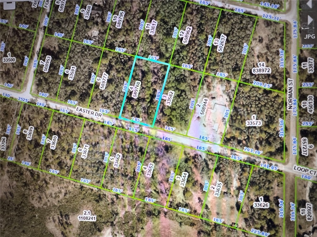 Easter Drive Webster FL 33597 O6116100 image1