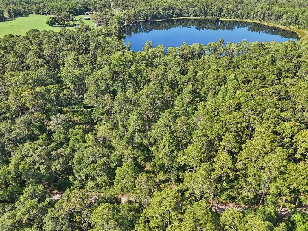 Edgehill Drive Groveland FL 34736 O6208905 image1