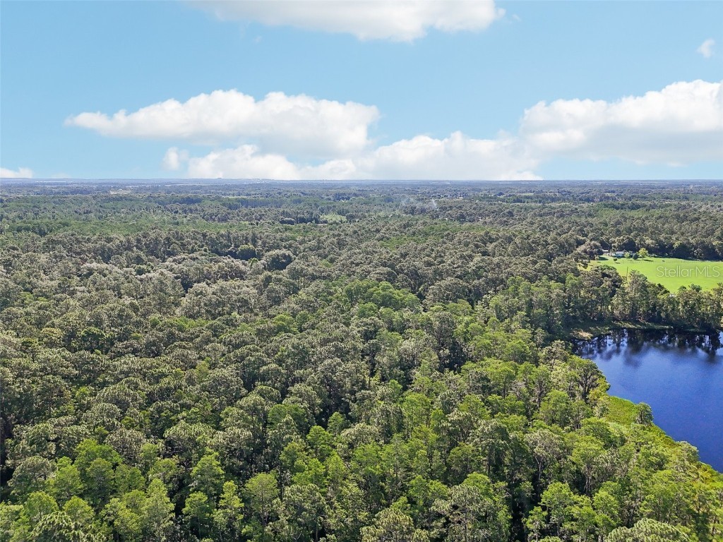 Edgehill Drive Groveland FL 34736 O6208905 image10