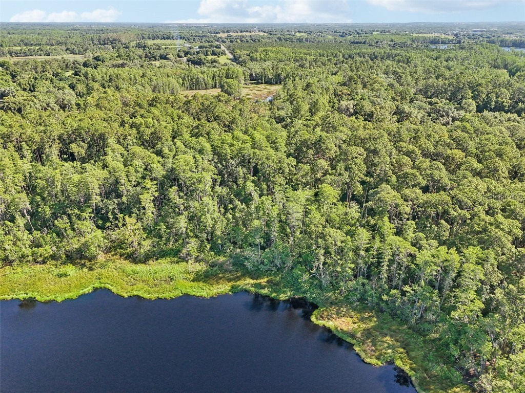 Edgehill Drive Groveland FL 34736 O6208905 image11