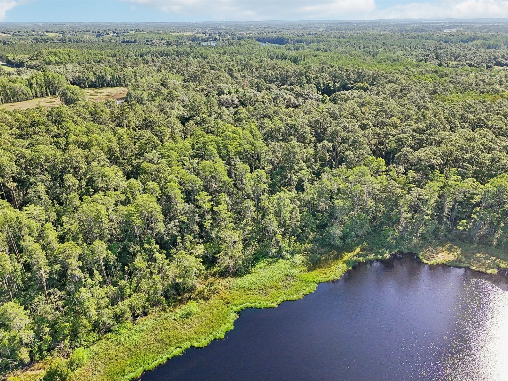 Edgehill Drive Groveland FL 34736 O6208905 image12