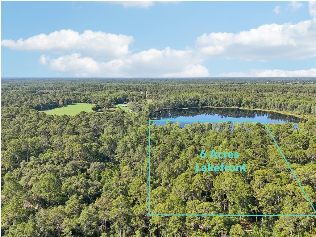 Edgehill Drive Groveland FL 34736 O6208905 image2