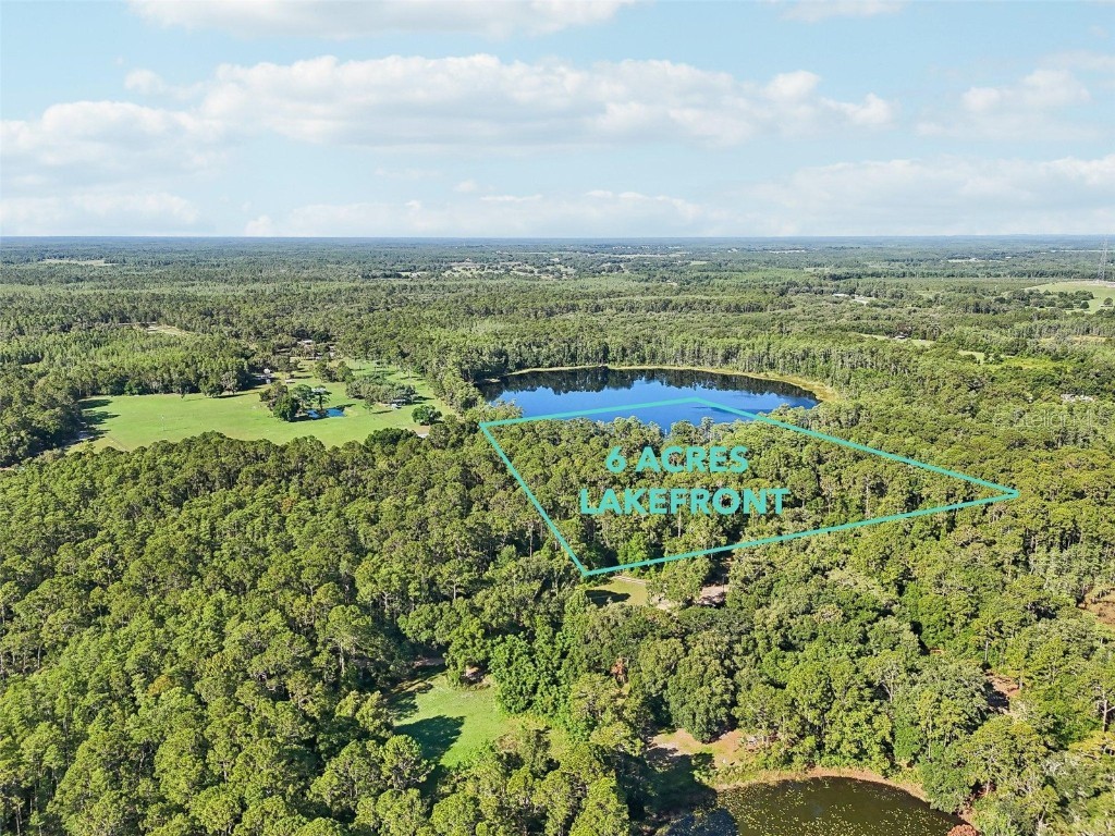 Edgehill Drive Groveland FL 34736 O6208905 image3