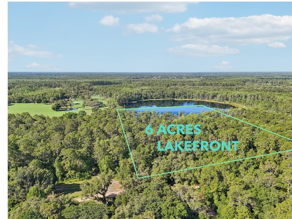 Edgehill Drive Groveland FL 34736 O6208905 image4