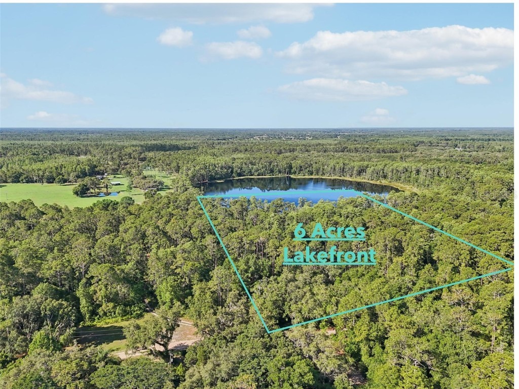 Edgehill Drive Groveland FL 34736 O6208905 image5