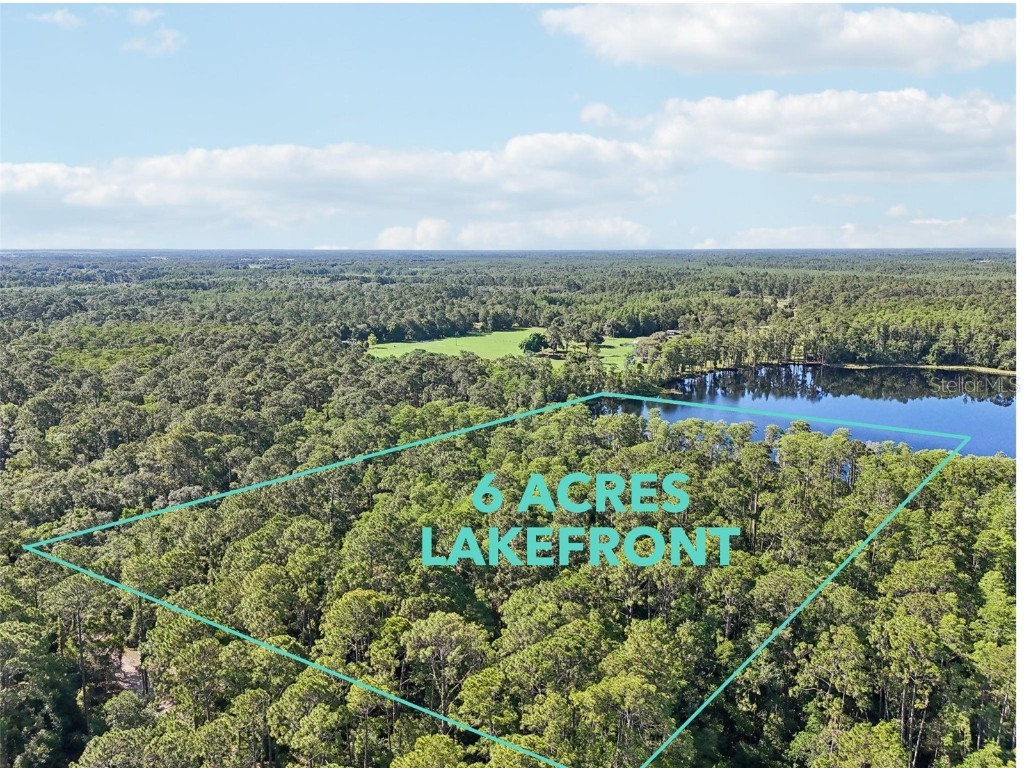 Edgehill Drive Groveland FL 34736 O6208905 image6