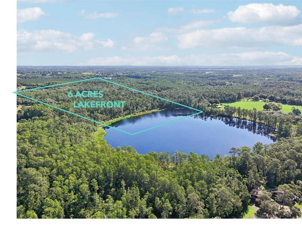 Edgehill Drive Groveland FL 34736 O6208905 image7