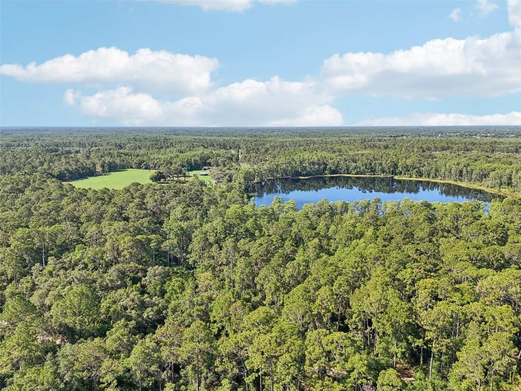 Edgehill Drive Groveland FL 34736 O6208905 image8