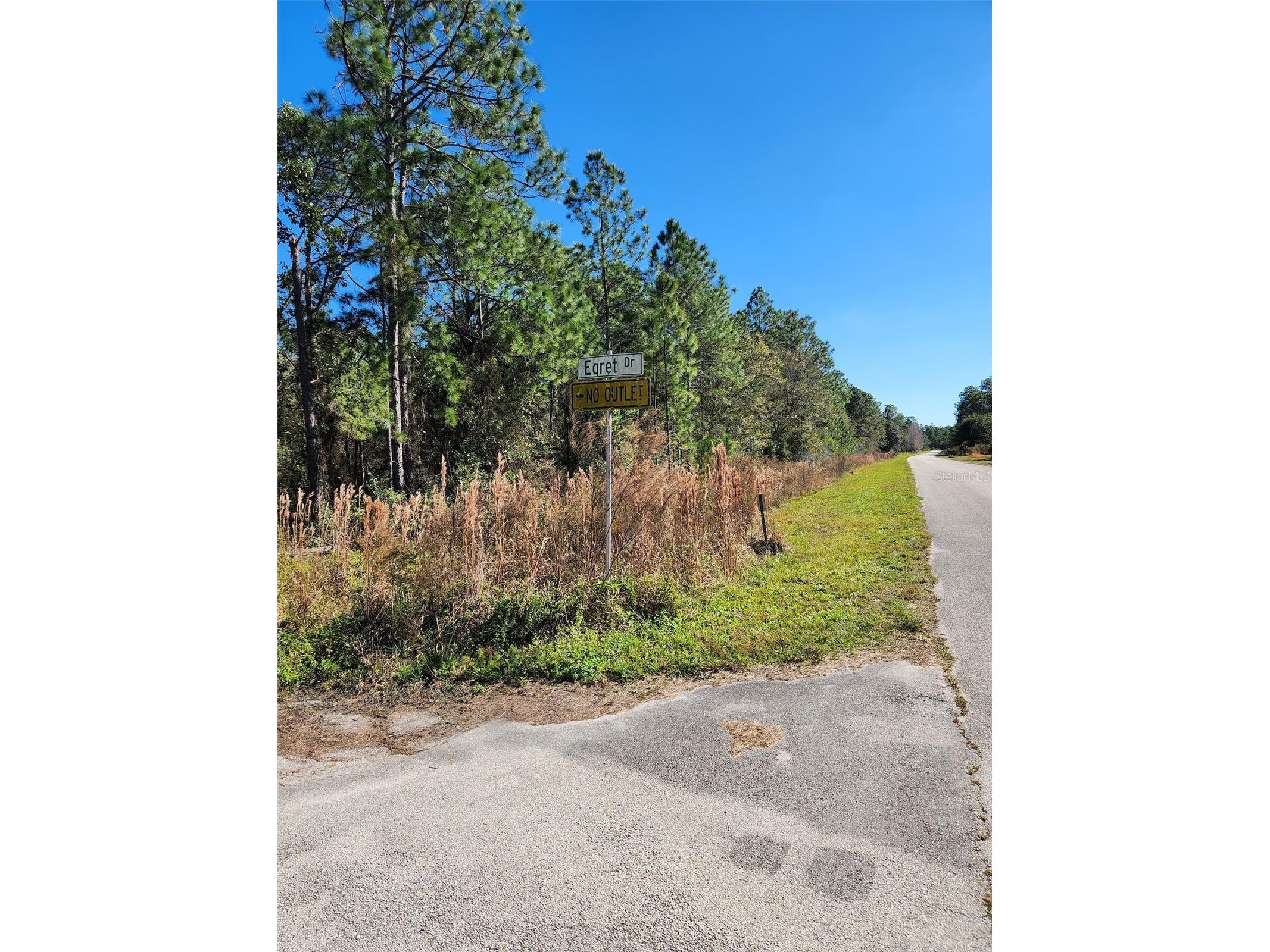 Egret Drive Frostproof FL 33843 S5147891 image5
