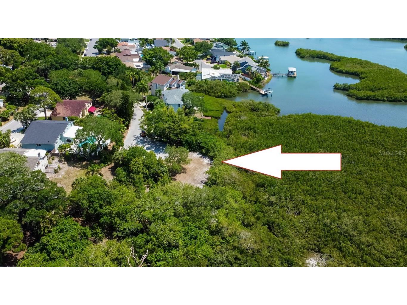 Egret Woods Circle Seminole FL 33776 U8242258 image4