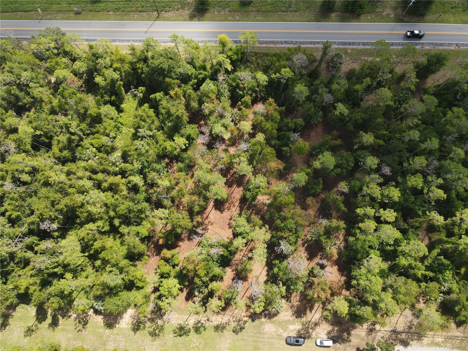 Eighth Street Montverde FL 34756 O6395830 image1
