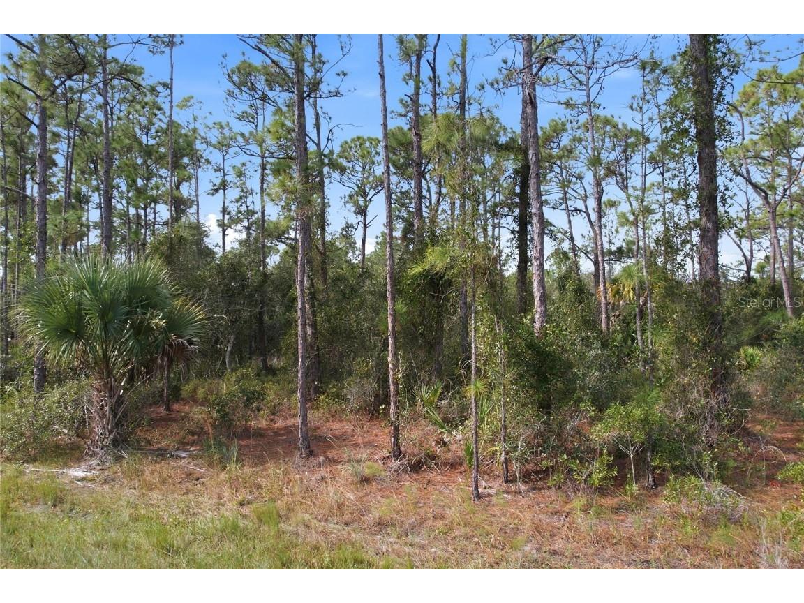 Einstein Street North Port FL 34291 NS1086510 image1