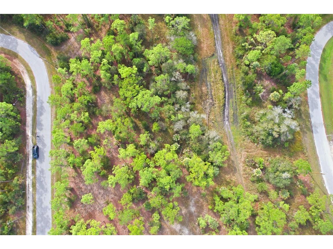 Einstein Street North Port FL 34291 NS1086510 image10