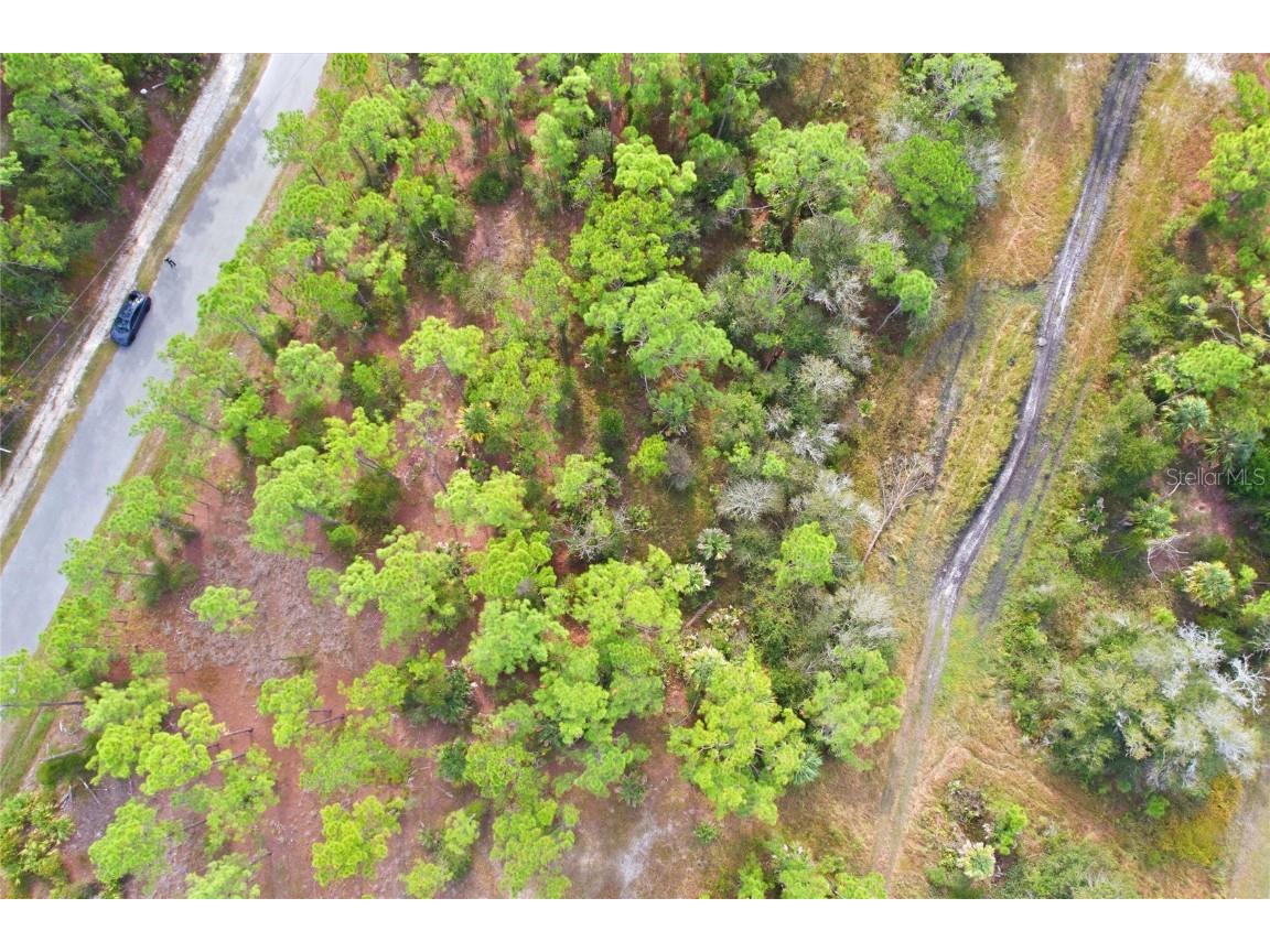 Einstein Street North Port FL 34291 NS1086510 image11