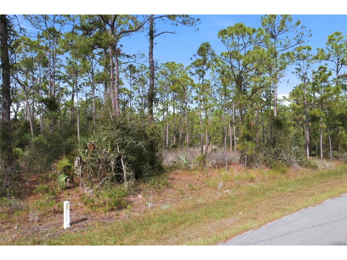 Einstein Street North Port FL 34291 NS1086510 image2