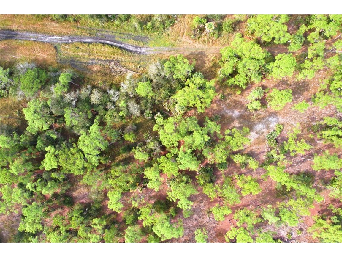 Einstein Street North Port FL 34291 NS1086510 image9