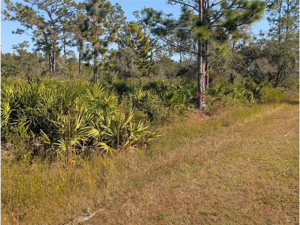 El Dorado Drive Indian Lake Estates FL 33855 - LAKE WALK-IN-WATER TB8449822 image11