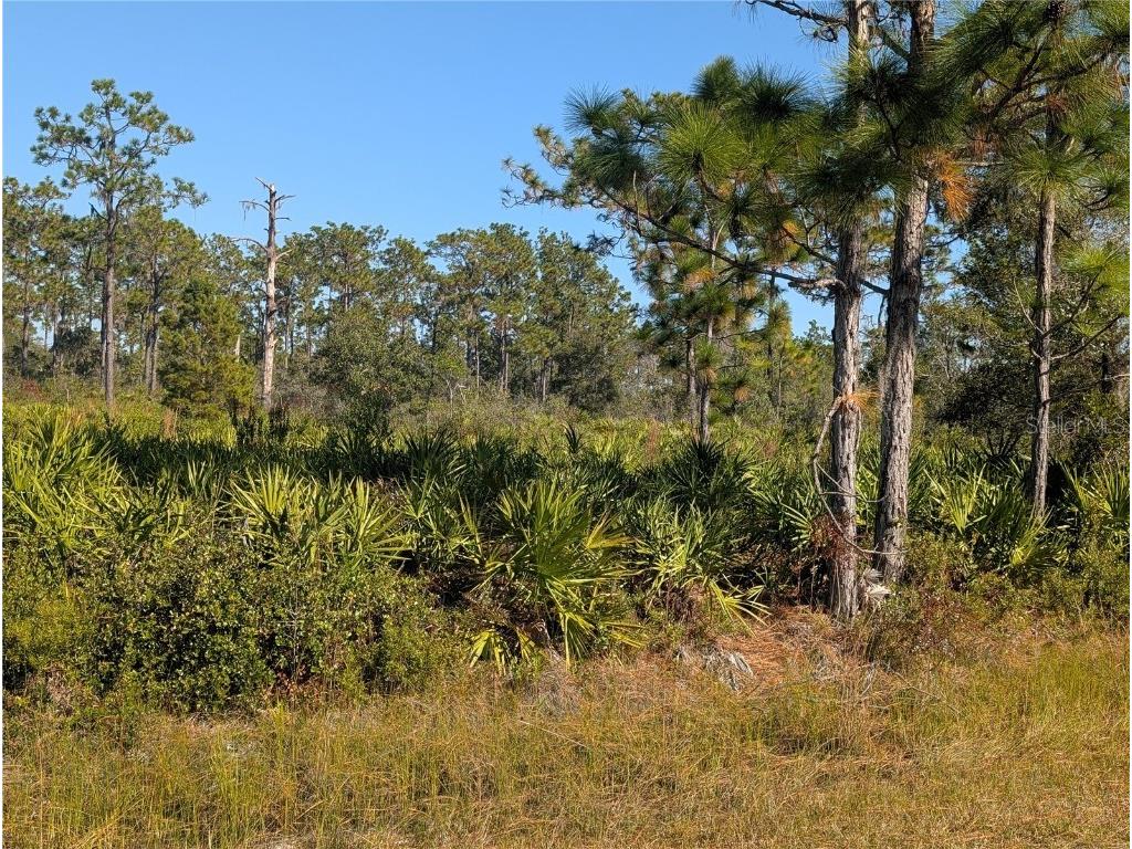 El Dorado Drive Indian Lake Estates FL 33855 - LAKE WALK-IN-WATER TB8449822 image5