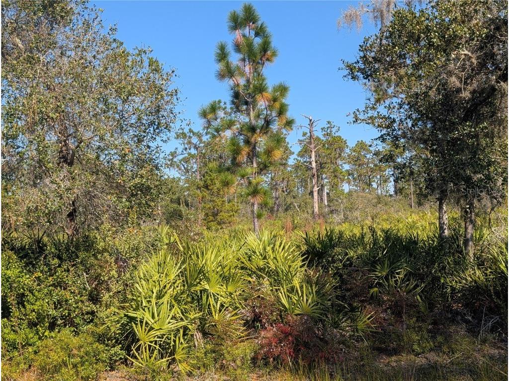 El Dorado Drive Indian Lake Estates FL 33855 - LAKE WALK-IN-WATER TB8449822 image7