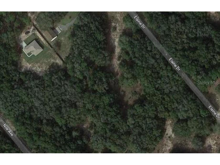 Elaine Drive Webster FL 33597 T3452653 image1