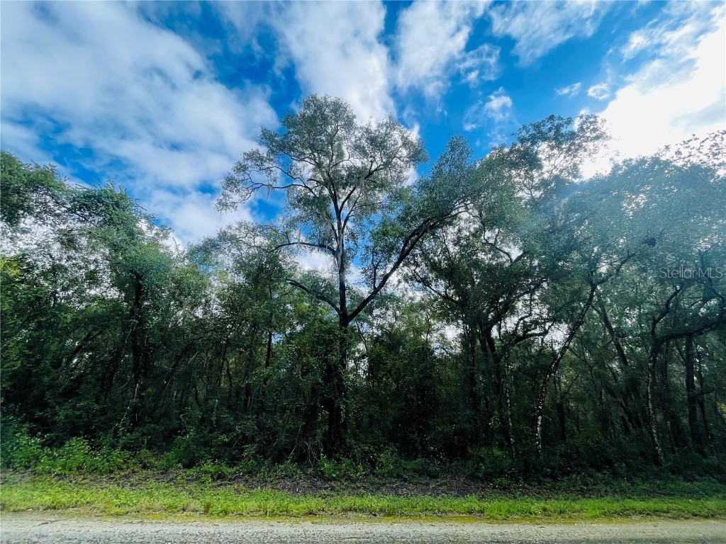 Elaine Drive Webster FL 33597 T3475641 image1