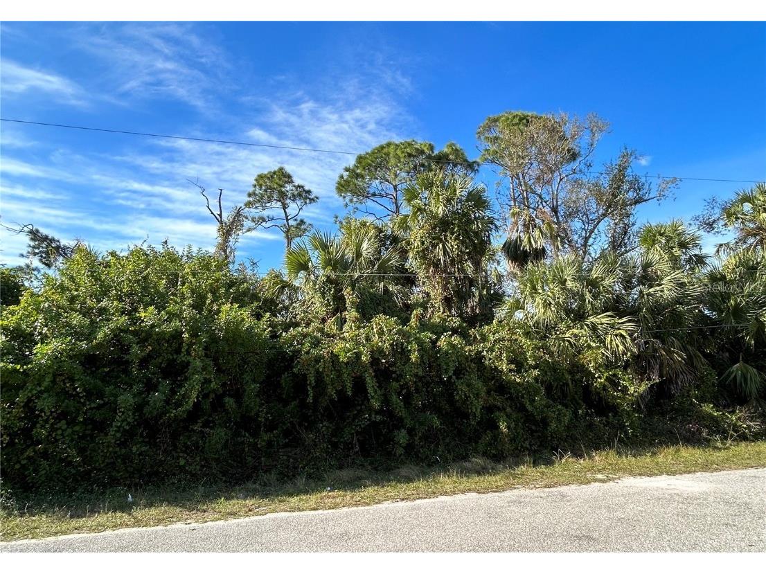 Elias Cir North Port FL 34288 C7484702 image1