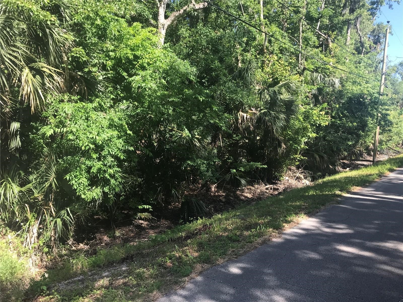 Elizabeth Street New Smyrna Beach FL 32168 O6407899 image4